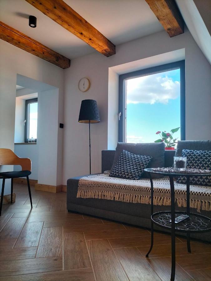 Uroczy Apartament W Centrum Krakowa 外观 照片